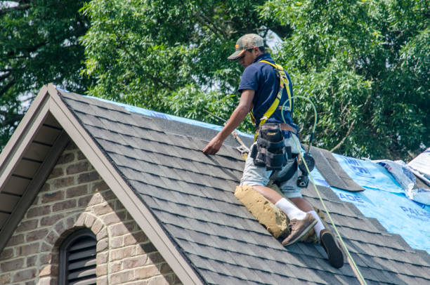 Best Gutter Installation and Roofing  in Bonneauville, PA